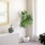 Modern Apartment Living
